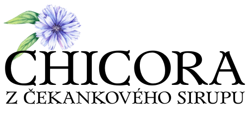 500x231-CHICORA-logo-cerny-font